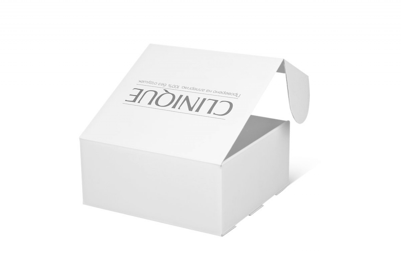 Фирменная коробка-самолет с логотипом из МГК в Москве, производство на заказ