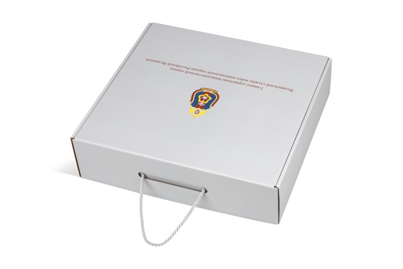 Самосборна коробка-самолет с витой ручкой в Москве, производство на заказ