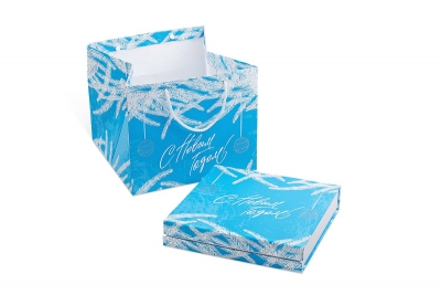 Подарочный комплект: кашированная коробка с магнитным клапаном в пакете в Москве – производство на заказ